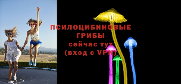 прущая мука Богородицк