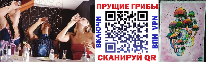 мориарти клад  Октябрьский  Псилоцибиновые грибы Psilocybine cubensis 